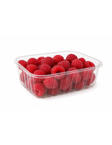 Barquette alimentaire plastique par 2100 unités 250g de fraise