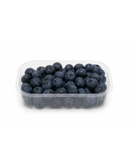 Barquette alimentaire plastique par 2100 unités 250g de fraise