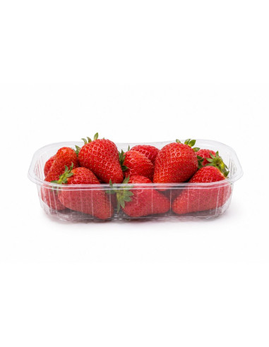Barquette alimentaire plastique par 2100 unités...