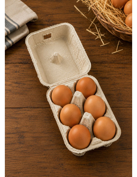 462 boites à oeufs x6