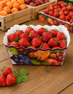Barquette alimentaire fruits carton coloré par 100 pour...