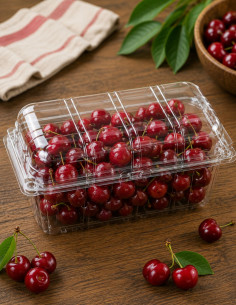 Barquette alimentaire avec couvercle intégré contenance 500g